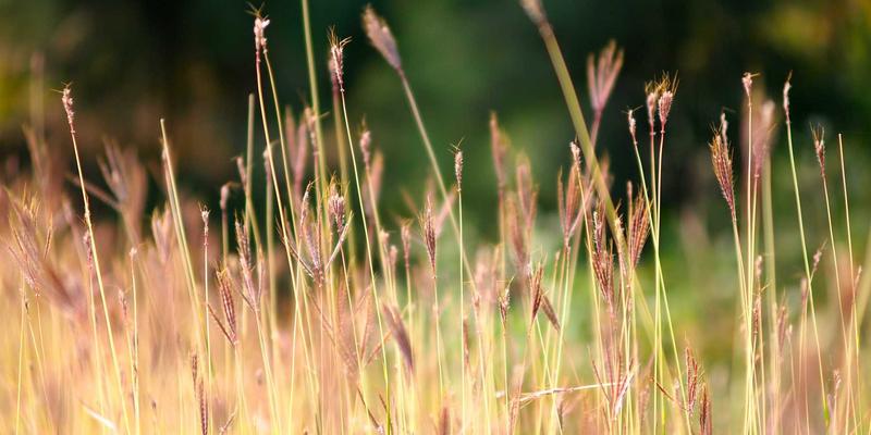 从代码到禅境：零信任架构的企业实施路径，一场IT与设计的修行