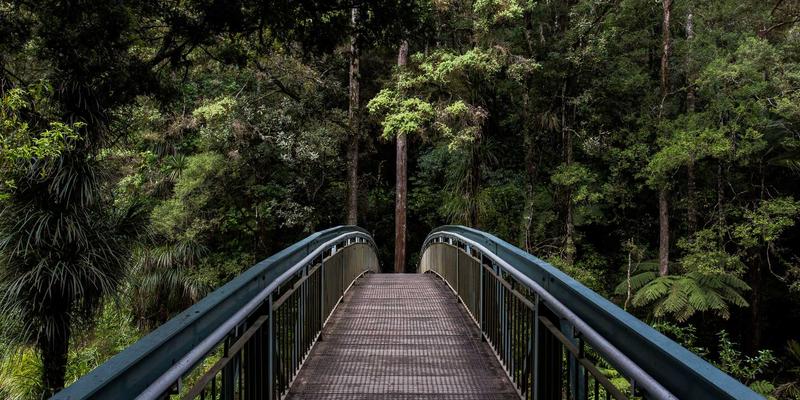 告别复杂配置!意图驱动网络:用“说人话”的方式,实现下一代网络自动化